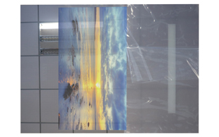 PP电子5金狮·(中国区)游戏官方网站