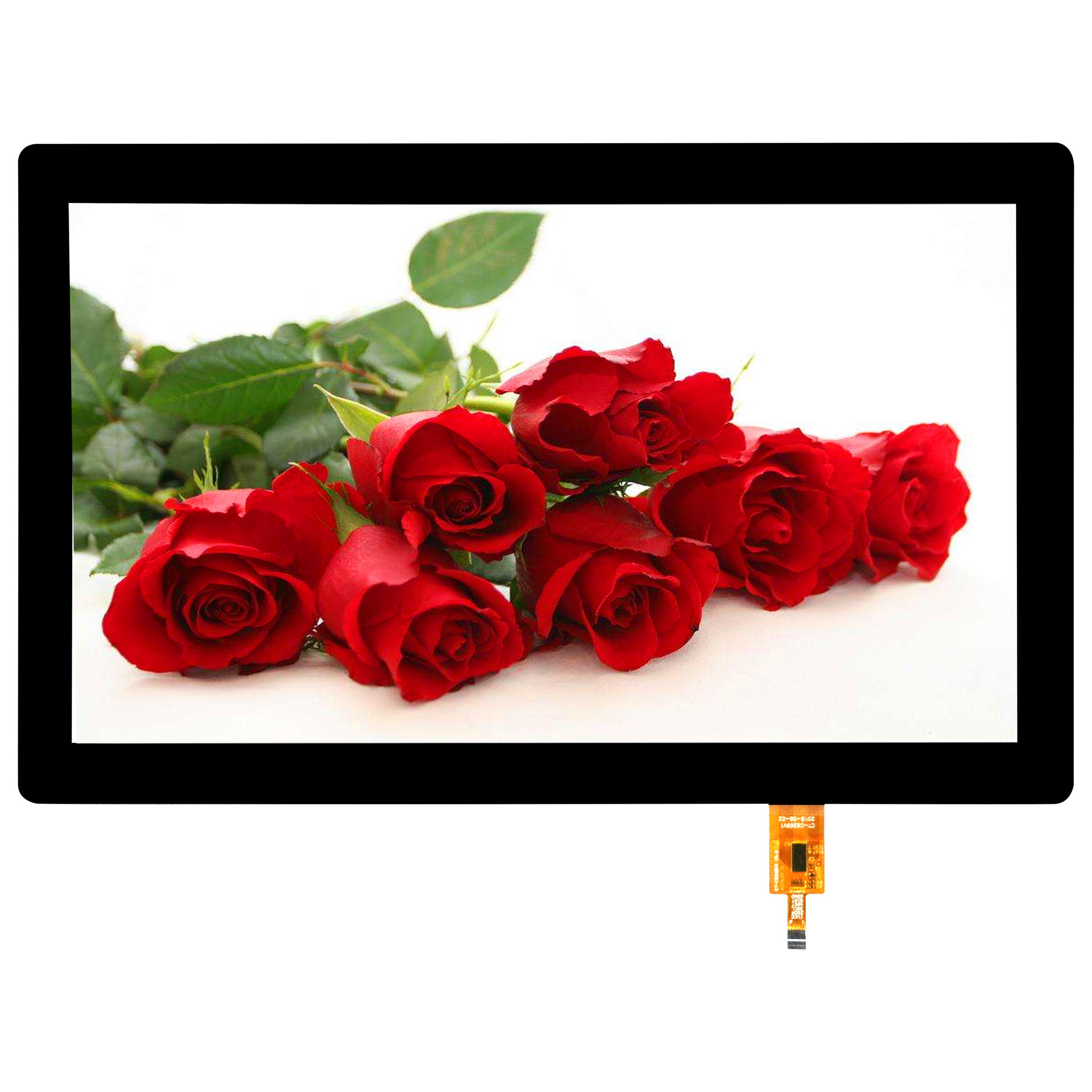 PP电子5金狮·(中国区)游戏官方网站