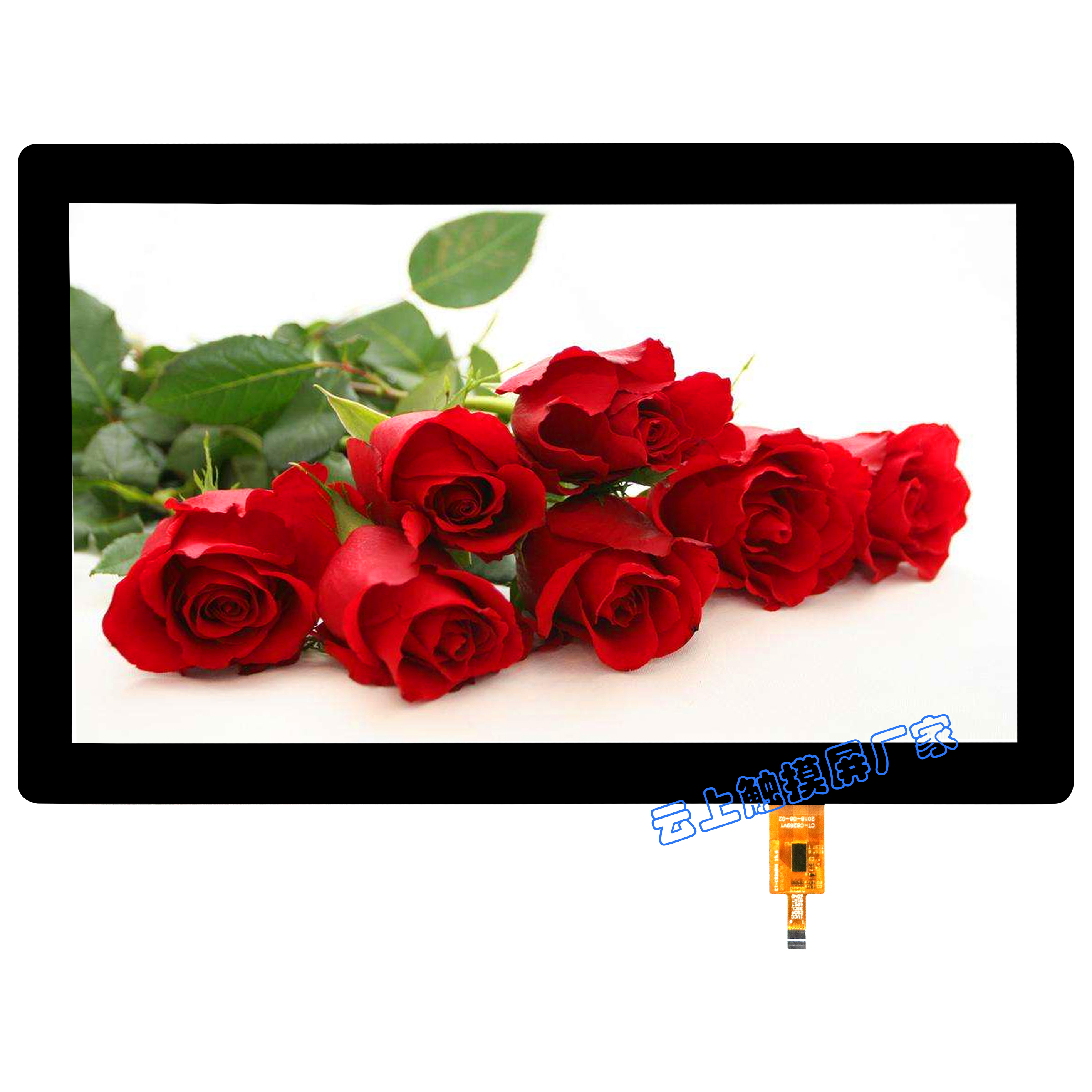 PP电子5金狮·(中国区)游戏官方网站