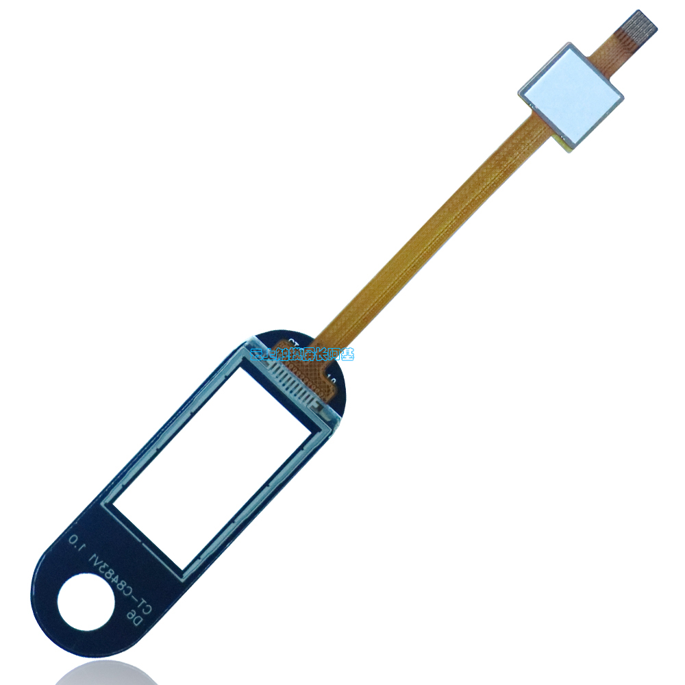 PP电子5金狮·(中国区)游戏官方网站