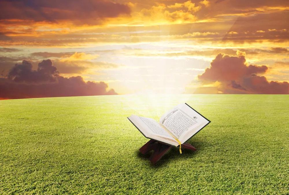 PP电子5金狮·(中国区)游戏官方网站