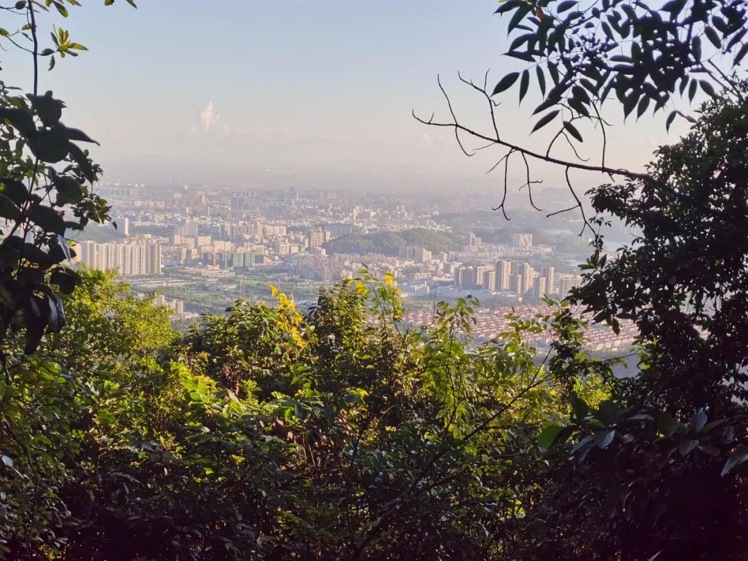 PP电子5金狮·(中国区)游戏官方网站